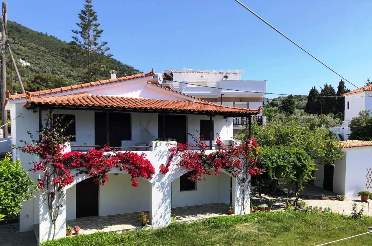Studios Elpiniki Skopelos Town Exterior photo